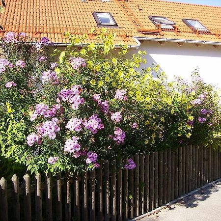 Wiflinger Graben Einfamilienhaus Villa Wörth Екстериор снимка