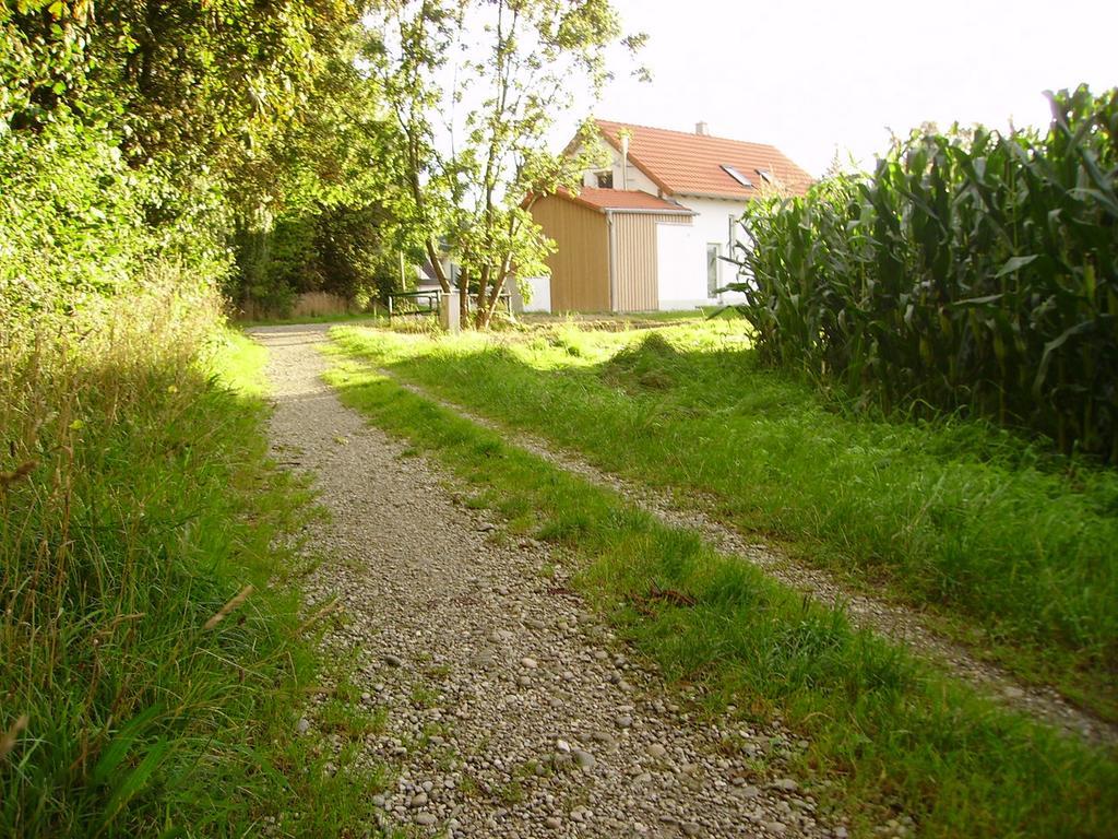 Wiflinger Graben Einfamilienhaus Villa Wörth Екстериор снимка